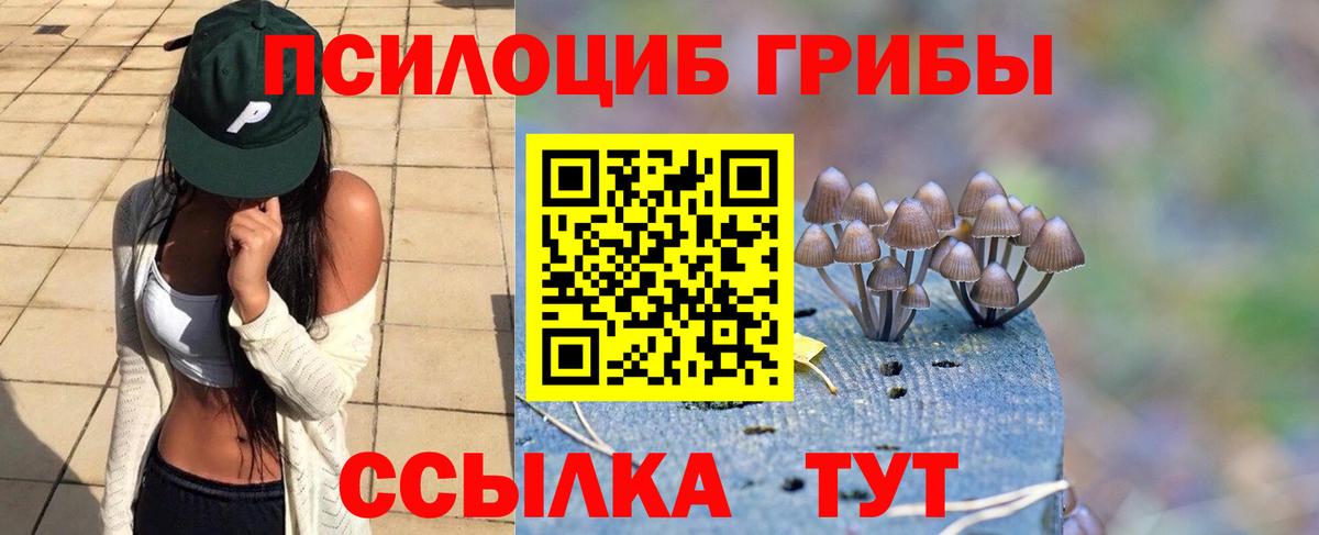 Галлюциногенные грибы Psilocybine cubensis  Вход с VPN  Отрадное 